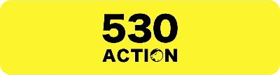 530 ACTION